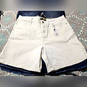 Suzanne Betro shorts Sz 18